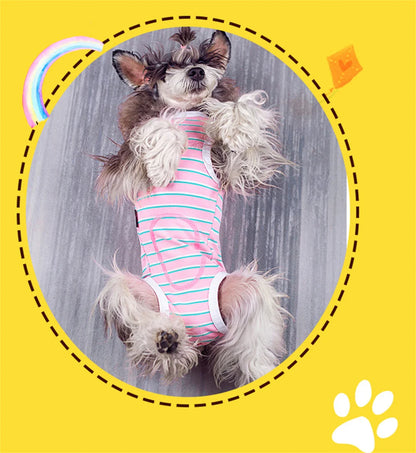 Striped Dog Recovery Suit – Soft Post-Surgery Shirt for Small Dogs