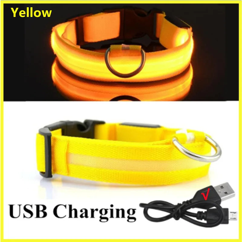 LED Dog Collar – USB Rechargeable, Adjustable & Glowing