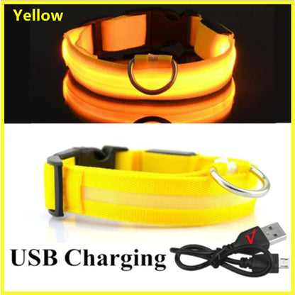 LED Dog Collar – USB Rechargeable, Adjustable & Glowing