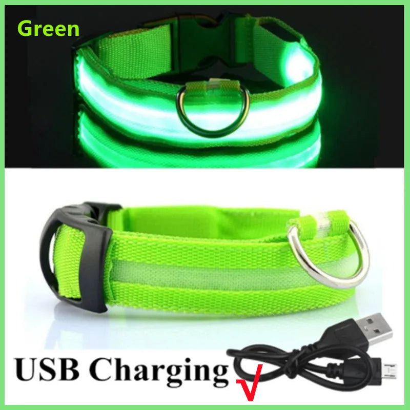 LED Dog Collar – USB Rechargeable, Adjustable & Glowing