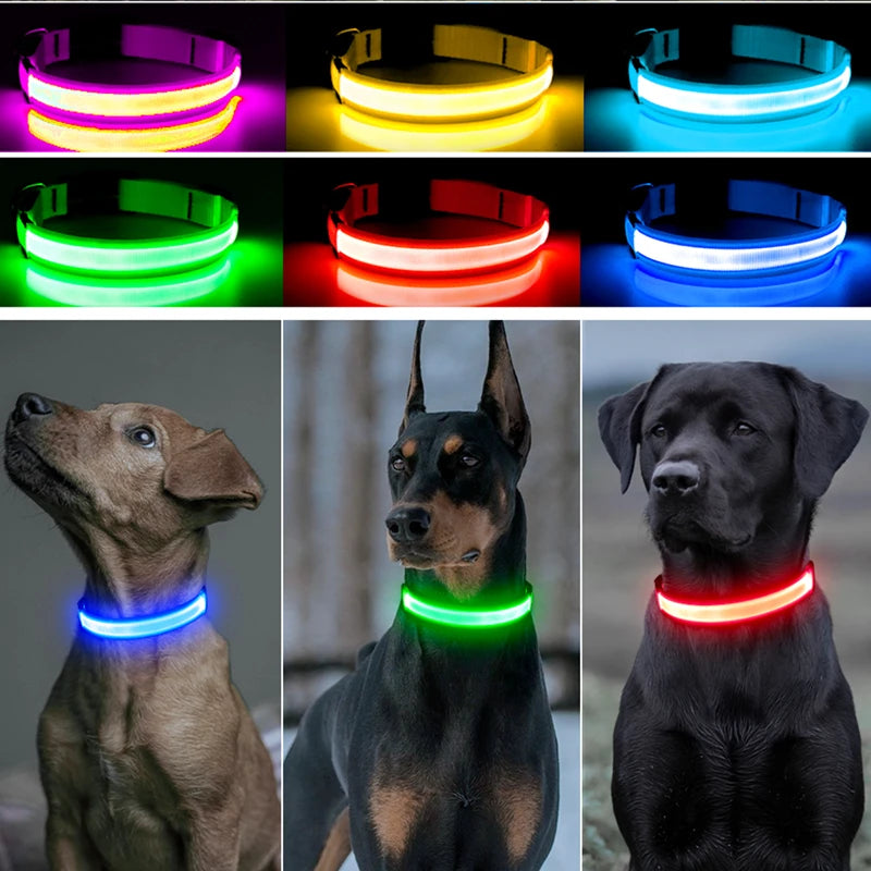 LED Dog Collar – USB Rechargeable, Adjustable & Glowing