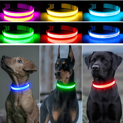 LED Dog Collar – USB Rechargeable, Adjustable & Glowing