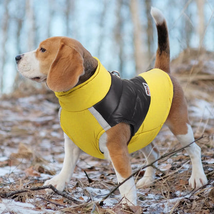 Waterproof Padded Dog Jacket - Winter Zipper Vest for Dogs