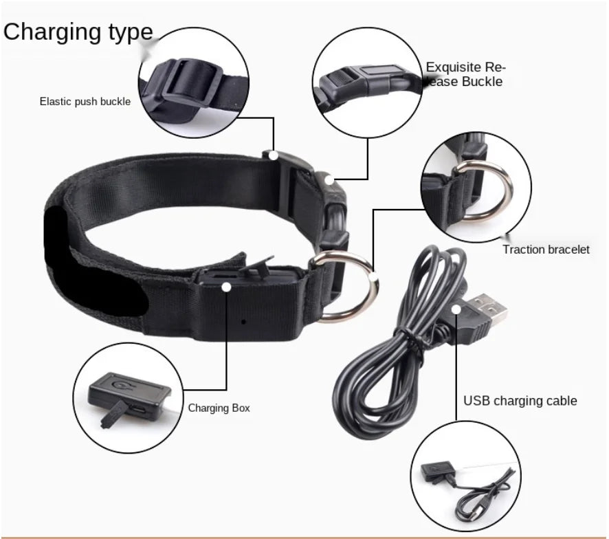 LED Dog Collar – USB Rechargeable, Adjustable & Glowing