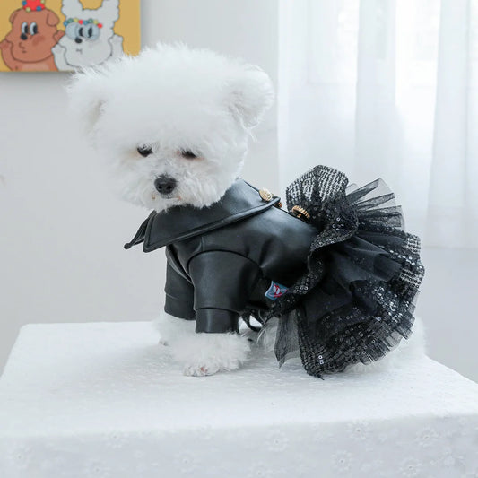 Luxury Leather Dog Coat – Princess Waterproof Pet Outfit