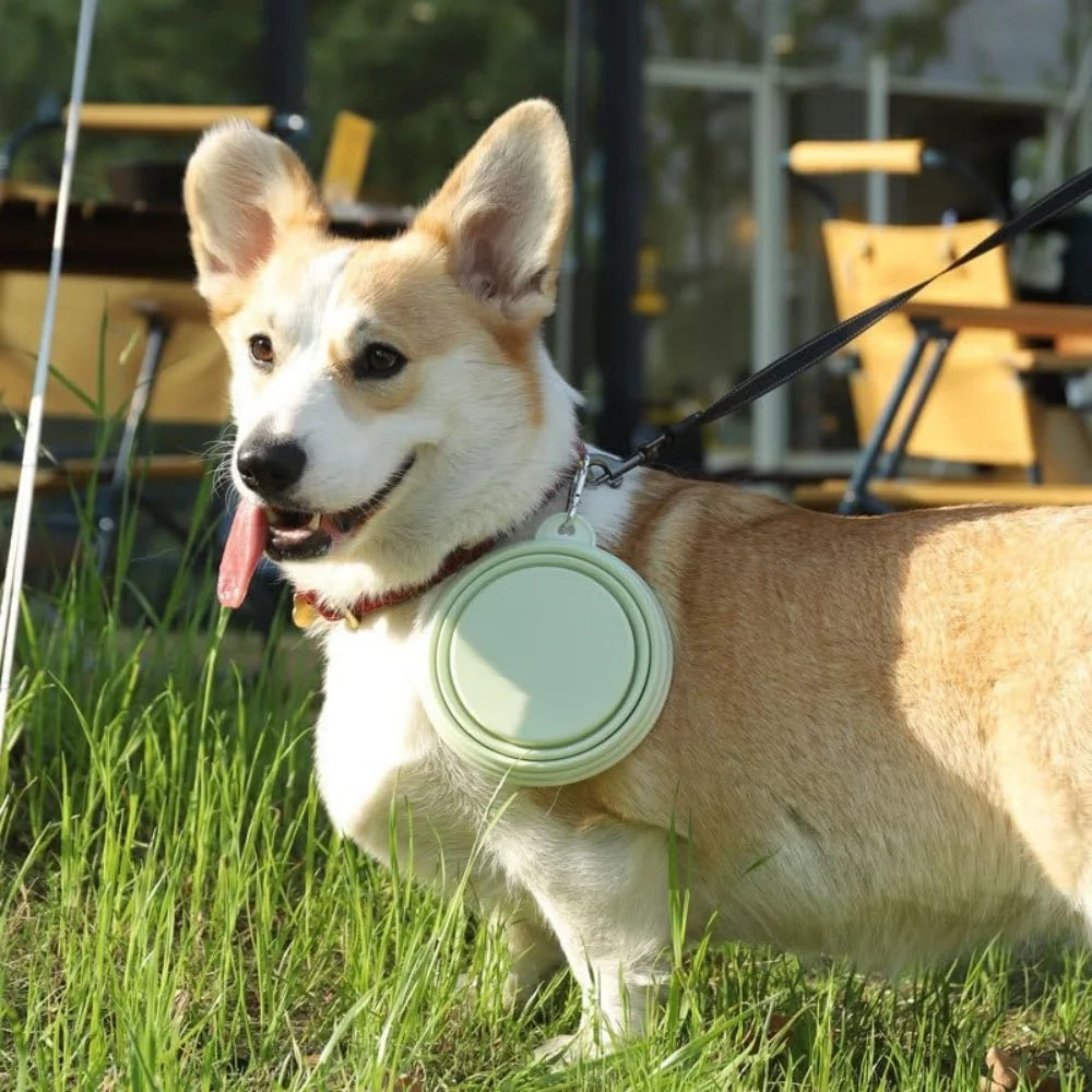 PawSip™ Travel Bowls - Collapsible 2-Pack