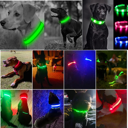 LED Dog Collar – USB Rechargeable, Adjustable & Glowing