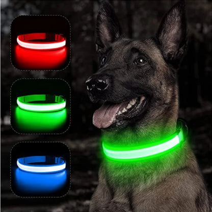 LED Dog Collar – USB Rechargeable, Adjustable & Glowing