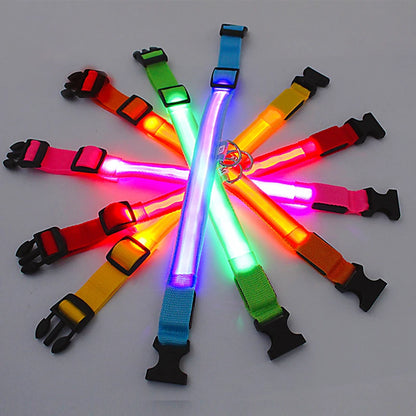 LED Dog Collar – USB Rechargeable, Adjustable & Glowing