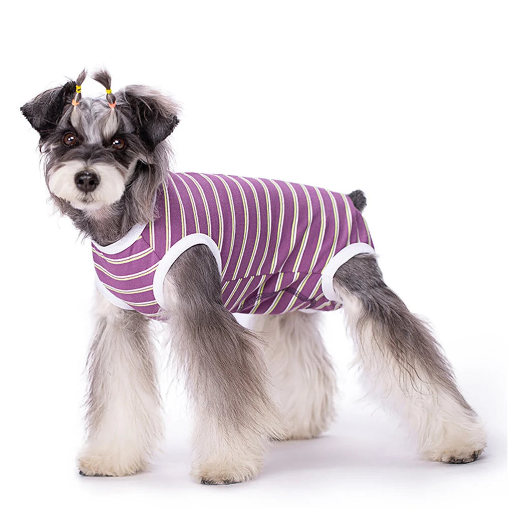 Striped Dog Recovery Suit – Soft Post-Surgery Shirt for Small Dogs