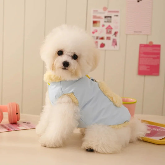 Cute Cotton Winter Clothes for Dogs – Soft & Warm