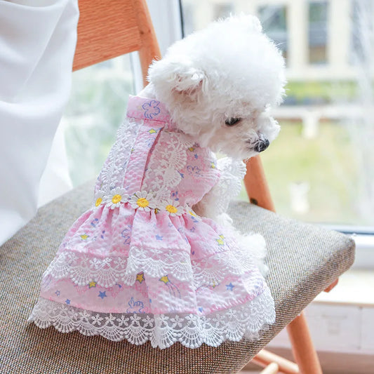 Daisy Princess Pet Dress - Lace Tutu Outfit for Small Dogs & Cats