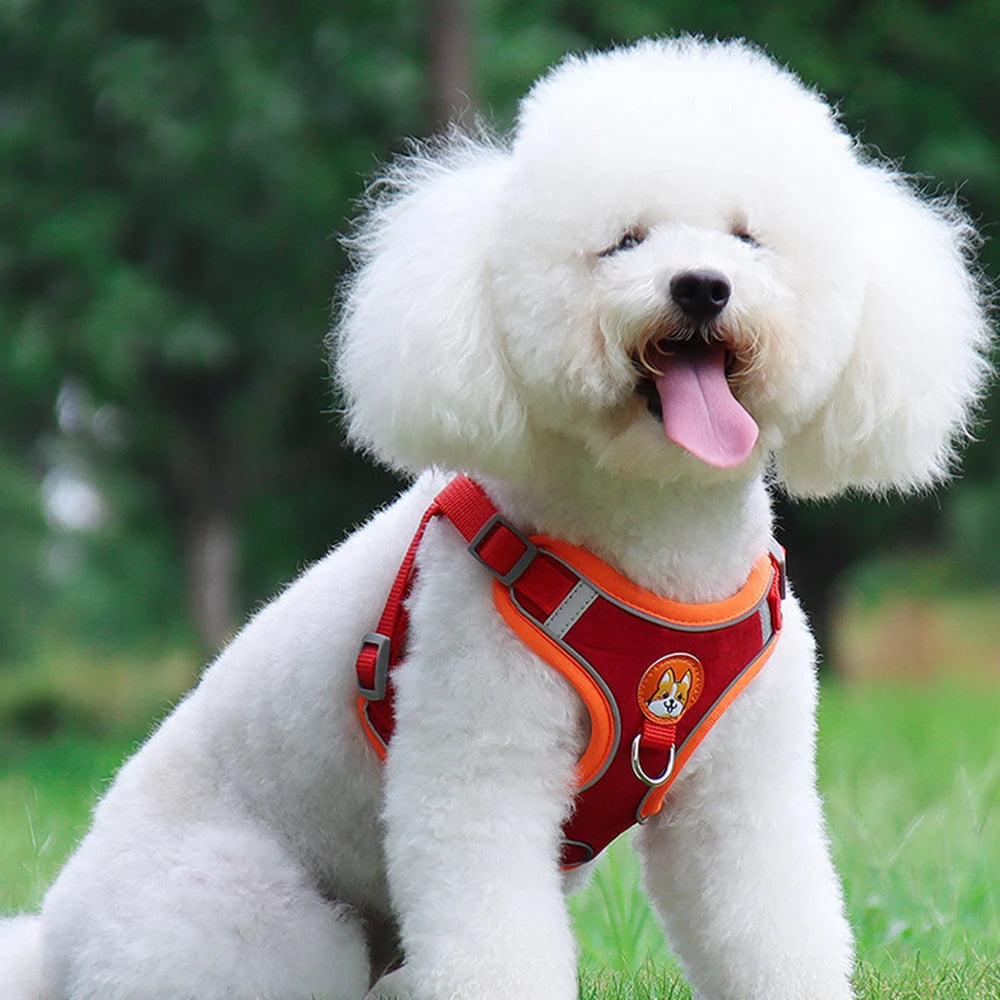 No Pull Reflective Dog Harness & Leash Set – Small Pets
