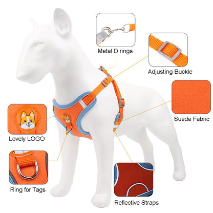 No Pull Reflective Dog Harness & Leash Set – Small Pets