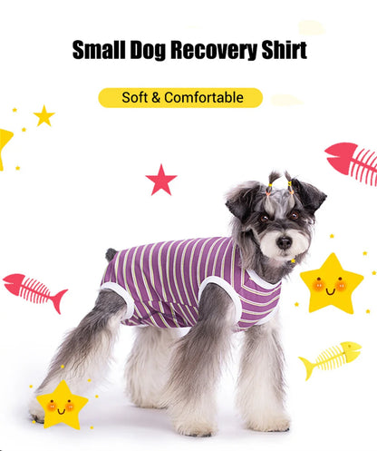 Striped Dog Recovery Suit – Soft Post-Surgery Shirt for Small Dogs