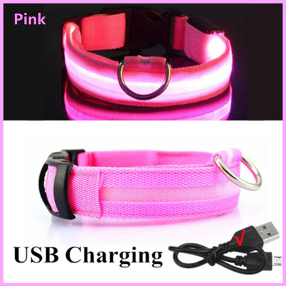 LED Dog Collar – USB Rechargeable, Adjustable & Glowing