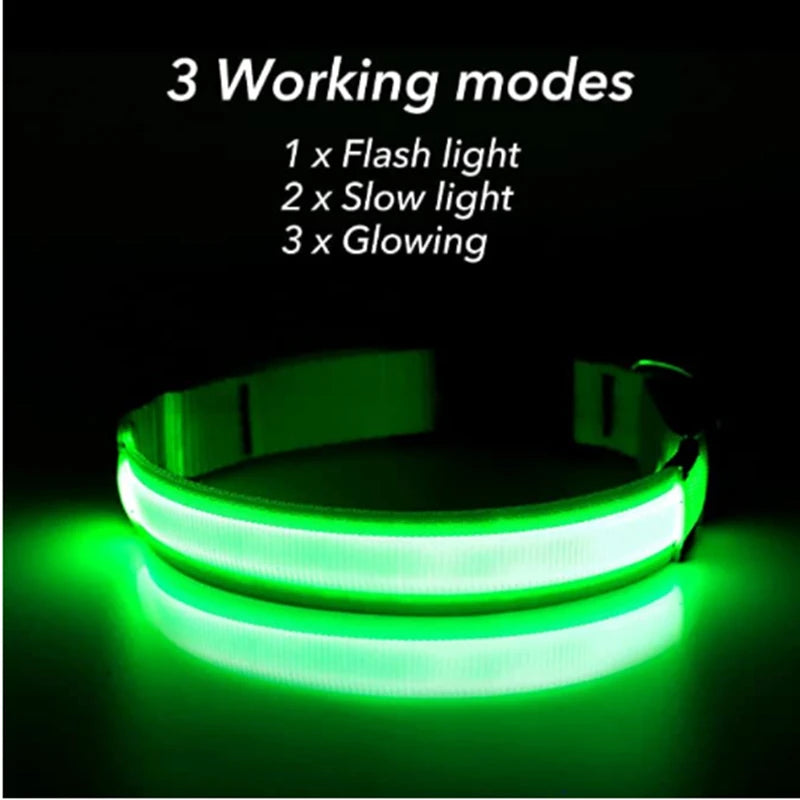 LED Dog Collar – USB Rechargeable, Adjustable & Glowing