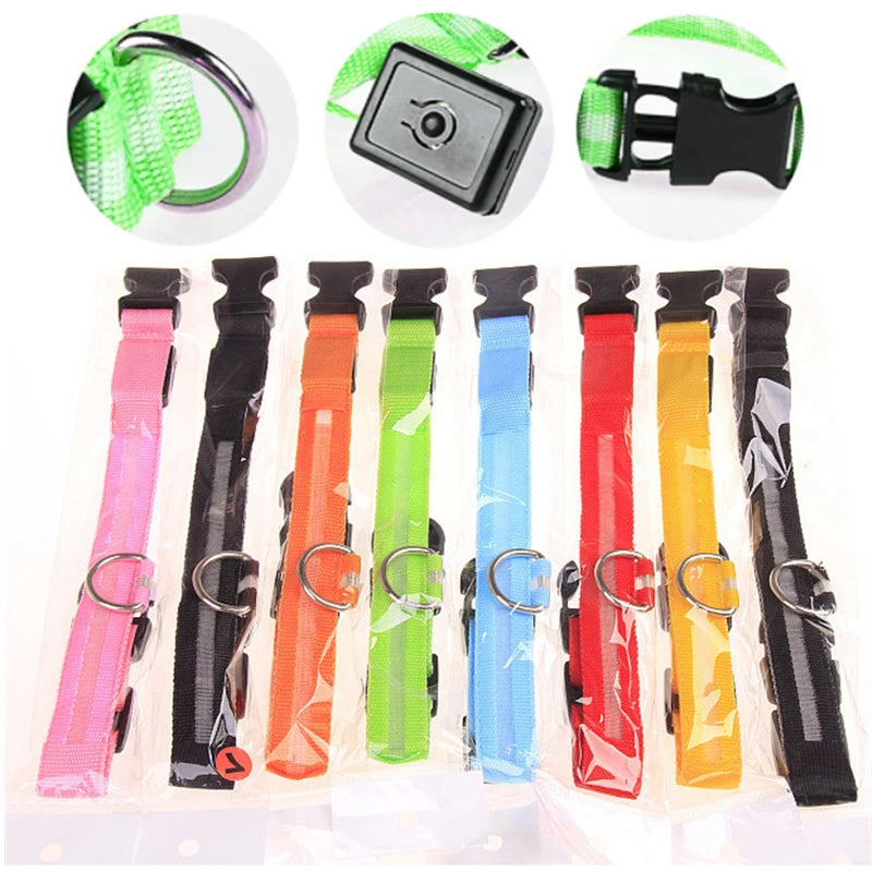 LED Dog Collar – USB Rechargeable, Adjustable & Glowing