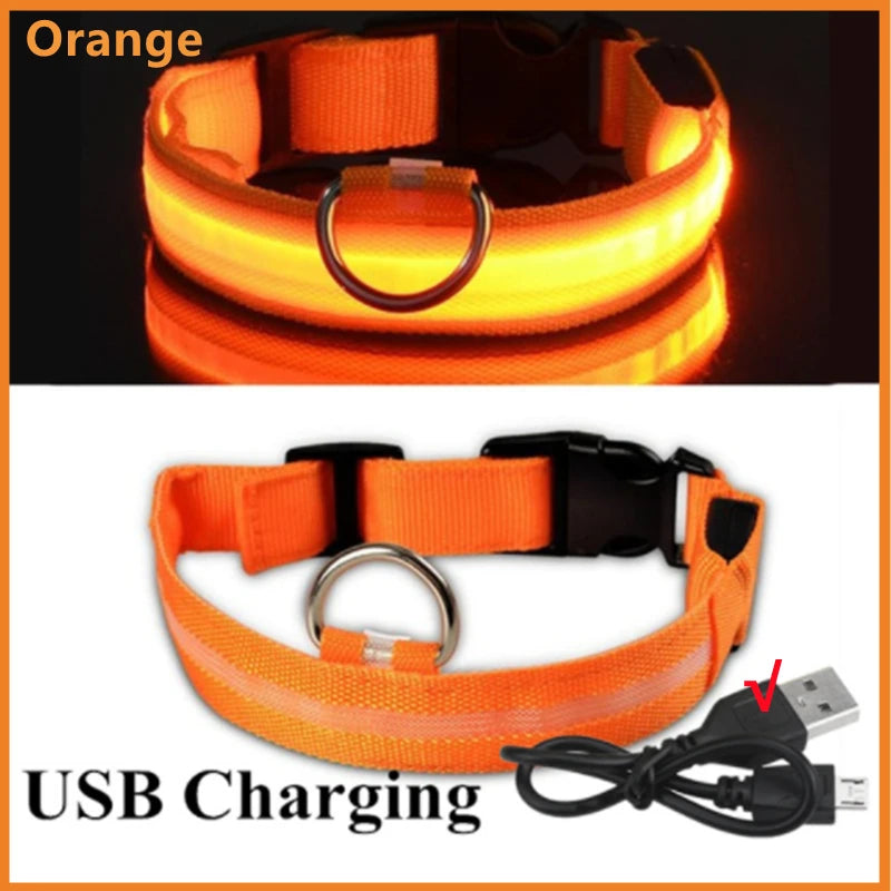LED Dog Collar – USB Rechargeable, Adjustable & Glowing
