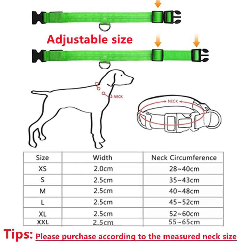 LED Dog Collar – USB Rechargeable, Adjustable & Glowing