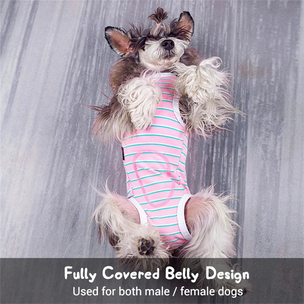 Striped Dog Recovery Suit – Soft Post-Surgery Shirt for Small Dogs