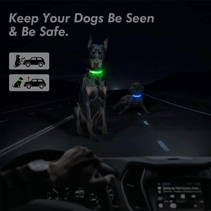 LED Dog Collar – USB Rechargeable, Adjustable & Glowing
