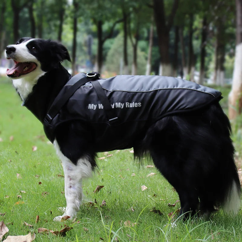 Winter Dog Coat with Harness – Warm Padded Jacket for Big Dogs