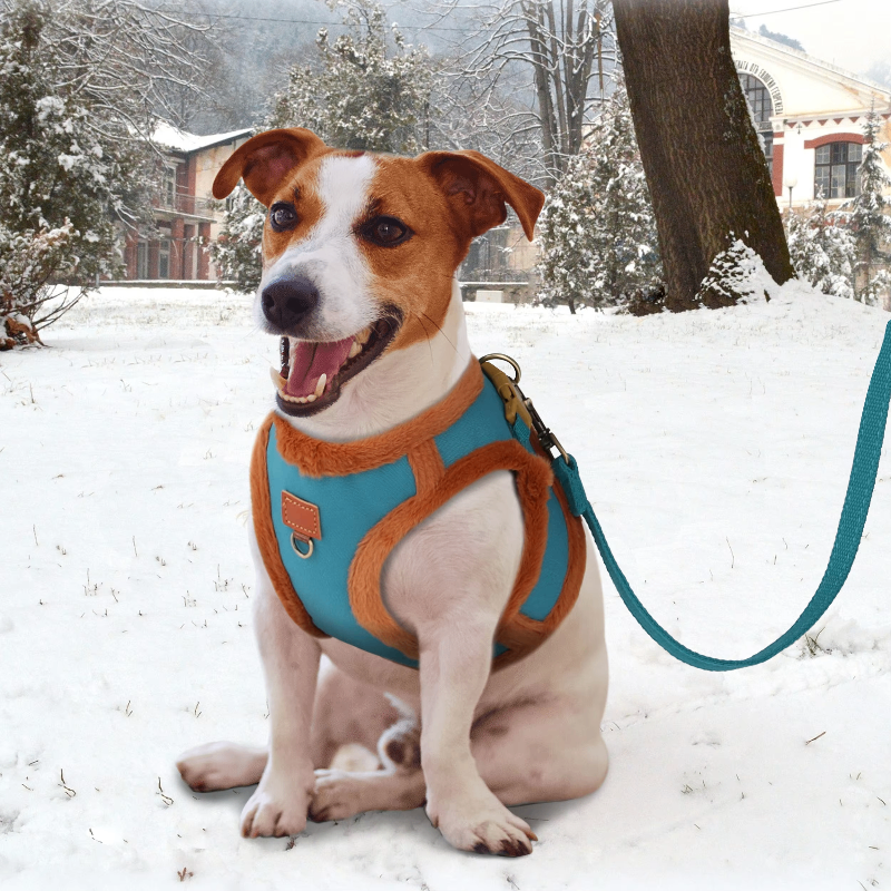 3-Layer Padded Winter Dog Harness & Leash Set
