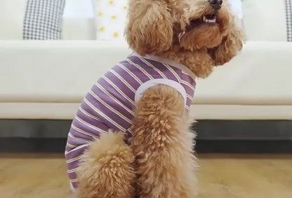 Striped Dog Recovery Suit – Soft Post-Surgery Shirt for Small Dogs