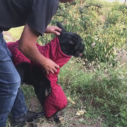 Waterproof Reflective Dog Jacket - Warm Outdoor Winter Vest