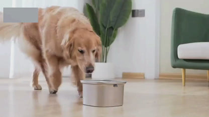 3L Stainless Steel Dog Bowl – Anti-Splash Water Dish