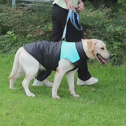 Waterproof Padded Dog Jacket - Winter Zipper Vest for Dogs