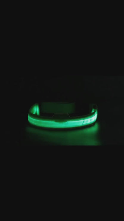 LED Dog Collar – USB Rechargeable, Adjustable & Glowing