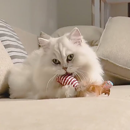 Interactive Cat Toy Set – Rods with Fleece Mouse Toys